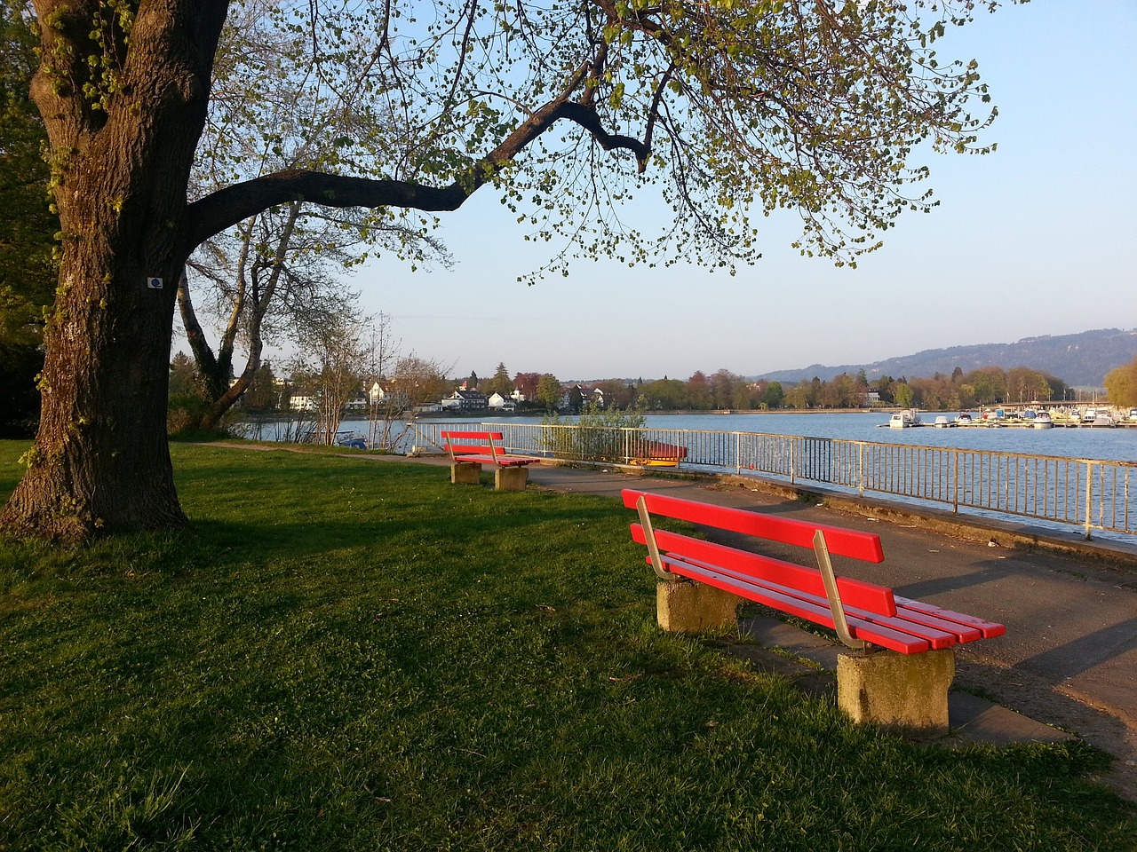 莱斯特城V 莱斯特城V