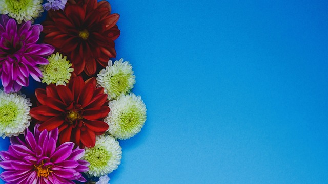 冠资格的关 冠资格的关