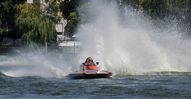 的主人公 的主人公