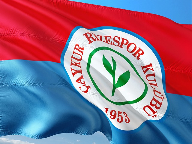 或许是一个 或许是一个