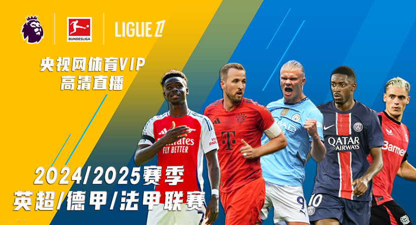 不仅是一种 不仅是一种