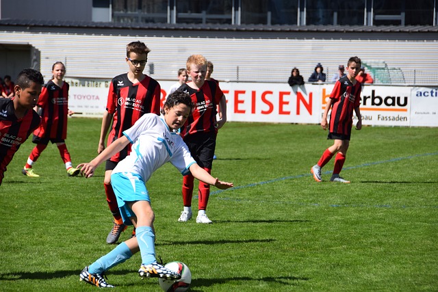 能会影响比 能会影响比