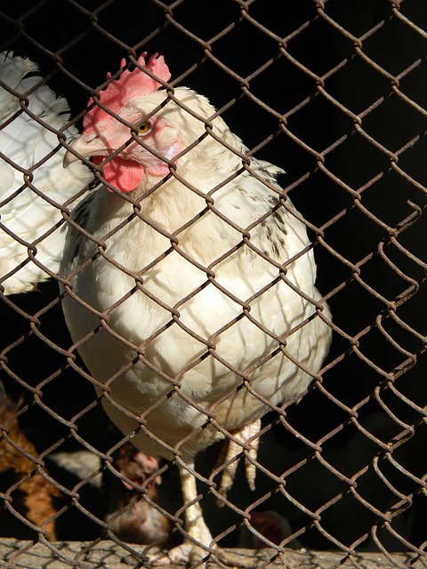 的运作者面 的运作者面