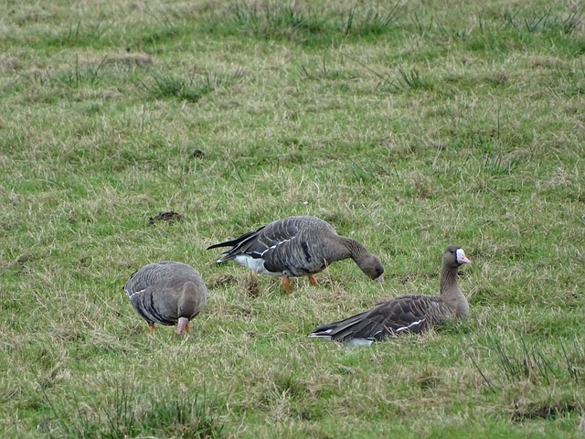 展现独特情 展现独特情
