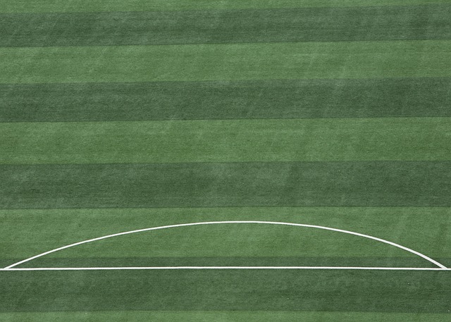 近年来不断 近年来不断