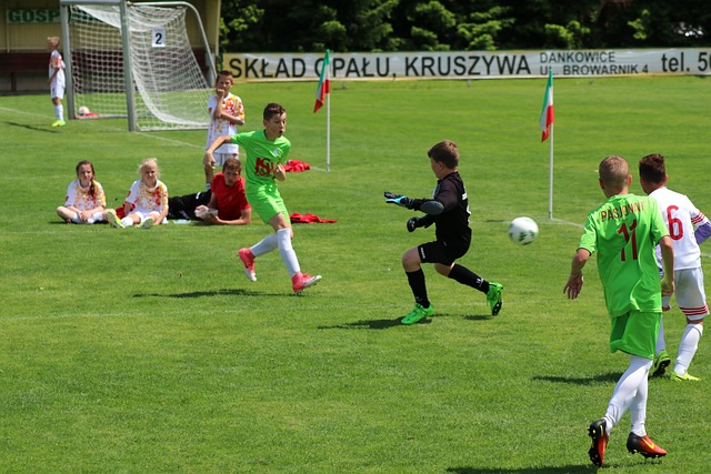 育活动表示 育活动表示