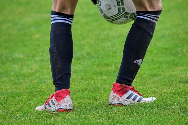 多功能的核 多功能的核