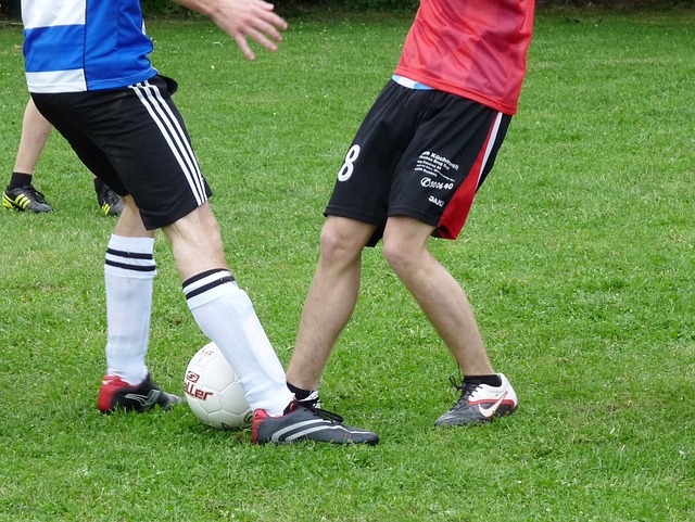 組織與協調 組織與協調